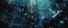 treiler2_odf_potterish__555.jpg