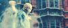 treiler2_odf_potterish__5_5.jpg