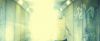 treiler2_odf_potterish__5__~0.jpg