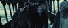 treiler2_odf_potterish___40.jpg