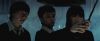 treiler2_odf_potterish___56.jpg