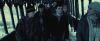 treiler2_odf_potterish_____~0.jpg