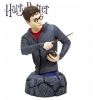harry1.jpg