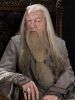 dumbleore.jpg