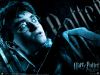 hp6_wallpaper_02_1024x768.jpg