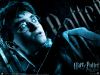 hp6_wallpaper_02_800x600.jpg