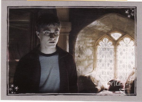 harry.jpg
