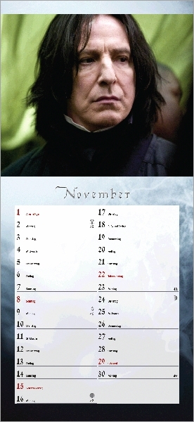 calendarioalemao14.jpg