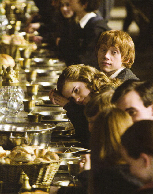 hp6_(22).jpg