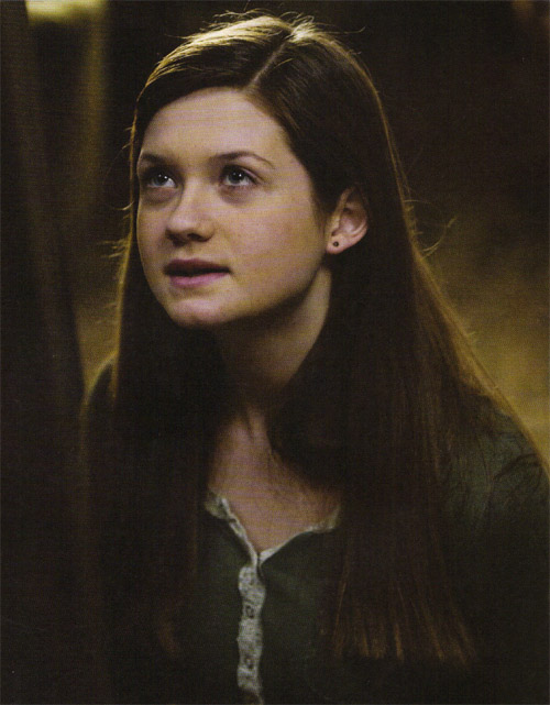 hp6_(24).jpg