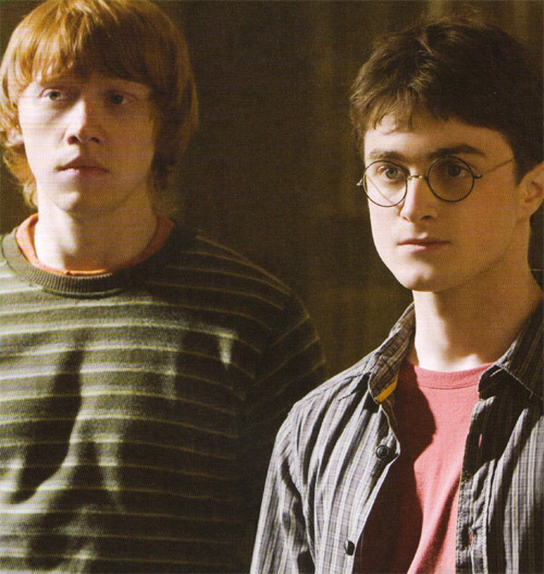 hp6_(40).jpg