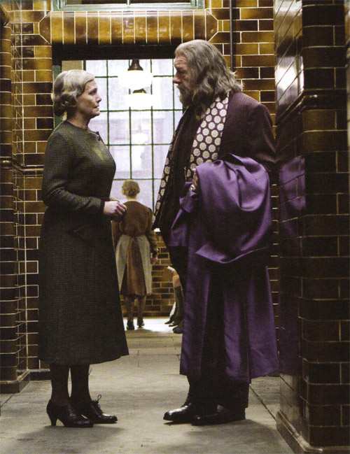 hp6_(42).jpg