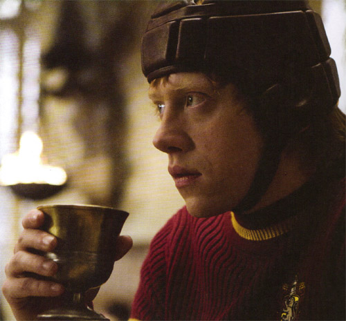 hp6_(48).jpg
