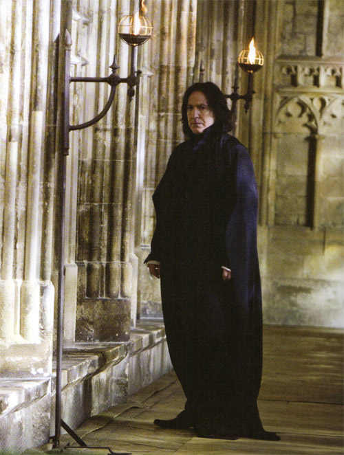 hp6_(50).jpg