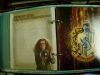 potterish_funfax_06.jpg
