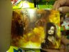 potterish_postcardbook_09.jpg
