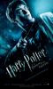harry.jpg