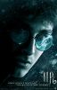 teaser_potter_wp.jpg