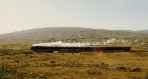 i34601_harrypottercelebutopia14.jpg