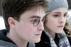 edp_harryhermione.JPG