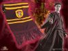 harry_cachecol.jpeg