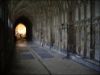 gloucester13.jpg