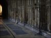 gloucester15.jpg