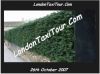 zzlondontaxitourcomharrypug5.jpg