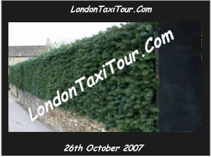 zzlondontaxitourcomharrypug5.jpg