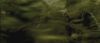 00734.jpg