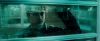trailer_16abril_hq_08.jpg