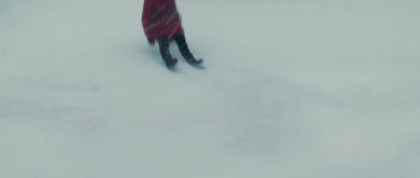 02107.jpg