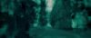 01891.jpg