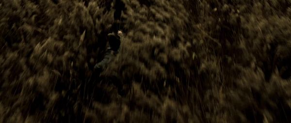 02517.jpg