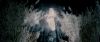 02913.jpg