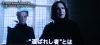003_4thTrailer012.jpg