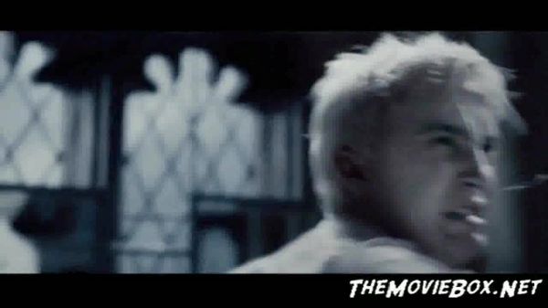 00473.jpg