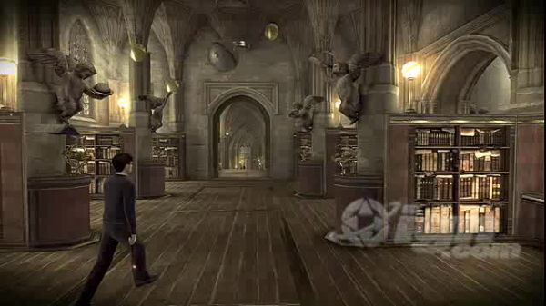 02564.jpg