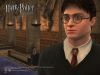 HarryPotter-Wallpaper-1024x786.jpg