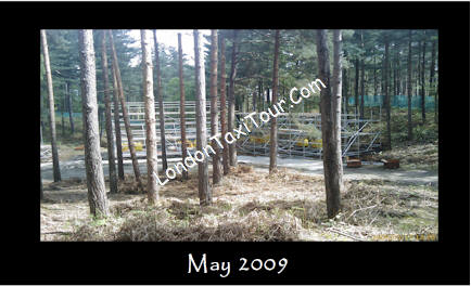 floresta_(3).jpg