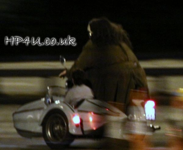 harryhagriddh5.jpg