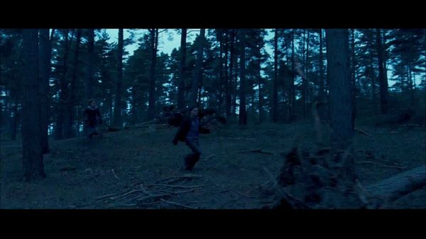dhteaser_44.jpg
