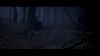 dhteaser_29.jpg
