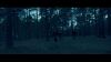 dhteaser_41.jpg