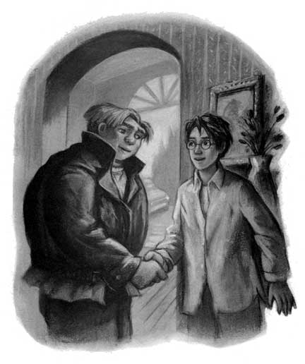 Cap 3 - A Partida dos Dursley
