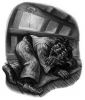 books_chapterart_dh_008.jpg