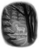 books_chapterart_dh_015.jpg