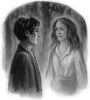 books_chapterart_dh_029.jpg