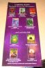 wbordersbrochure05.jpg