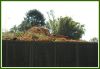 hpu-DSC_0150-web.jpg